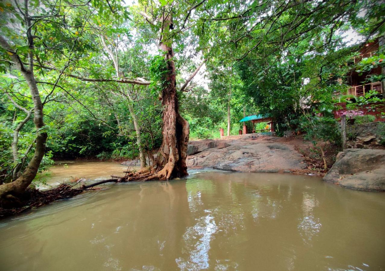Sigiriya River Side Villa Eksteriør bilde