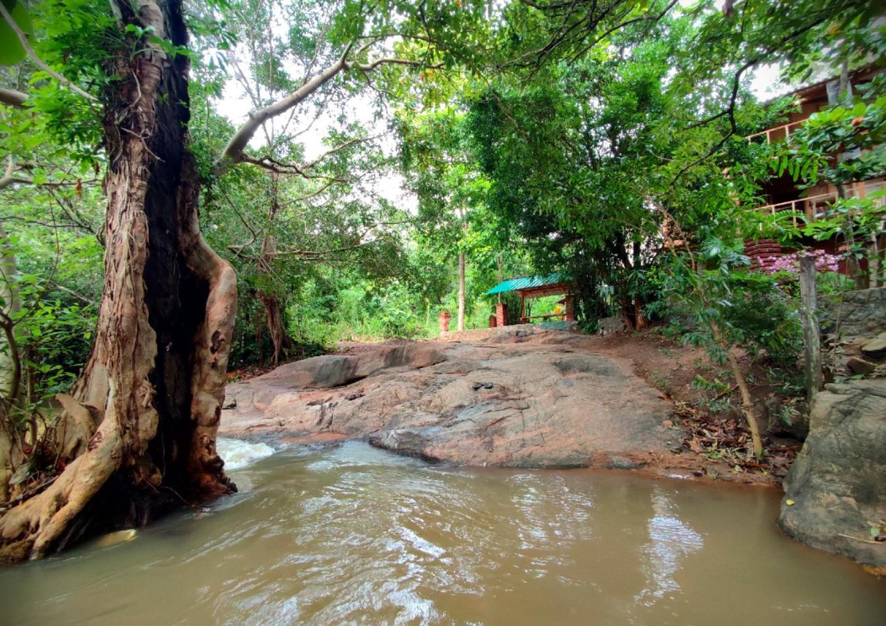 Sigiriya River Side Villa Eksteriør bilde