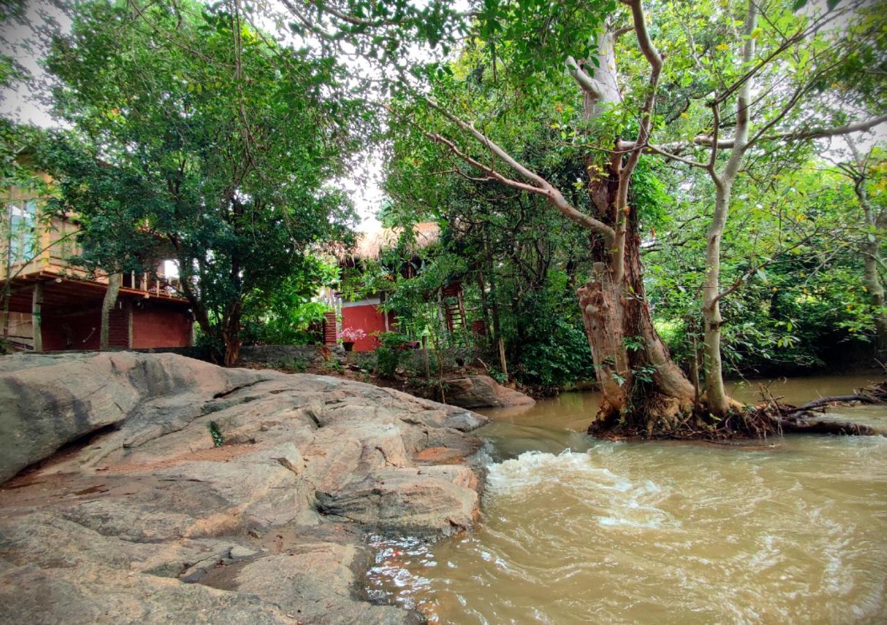 Sigiriya River Side Villa Eksteriør bilde