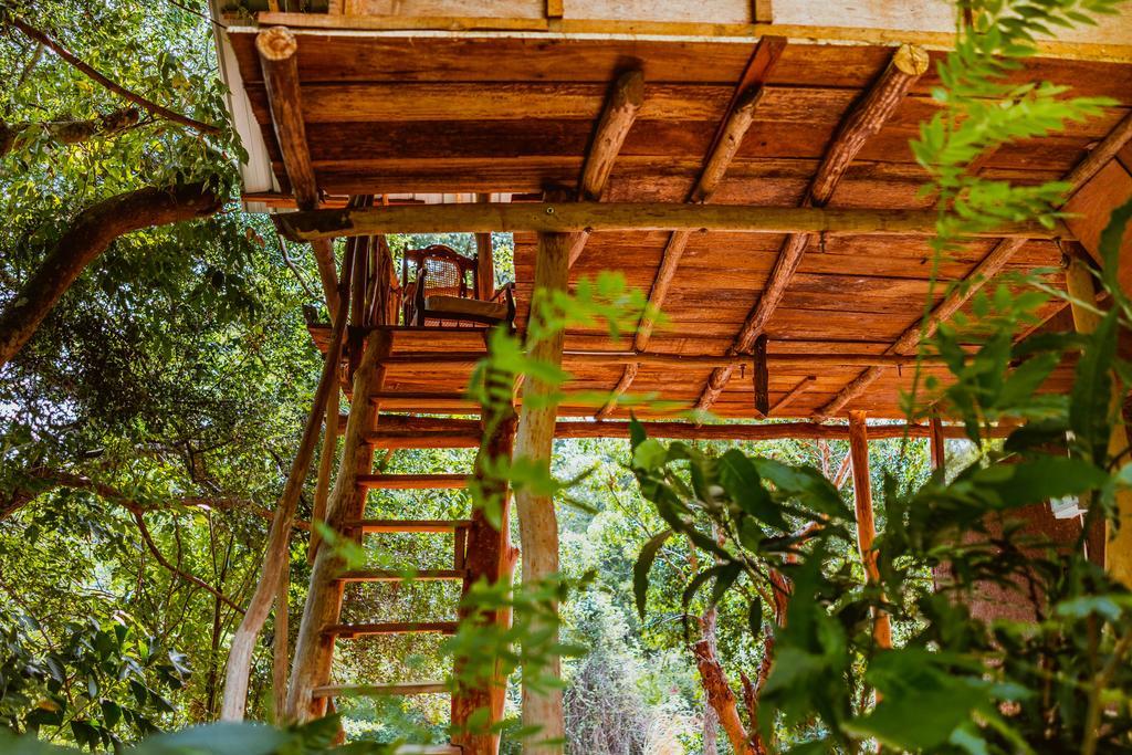 Sigiriya River Side Villa Eksteriør bilde