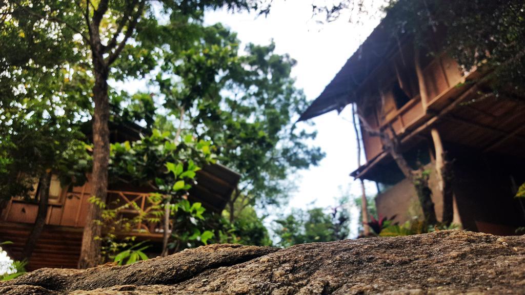 Sigiriya River Side Villa Eksteriør bilde
